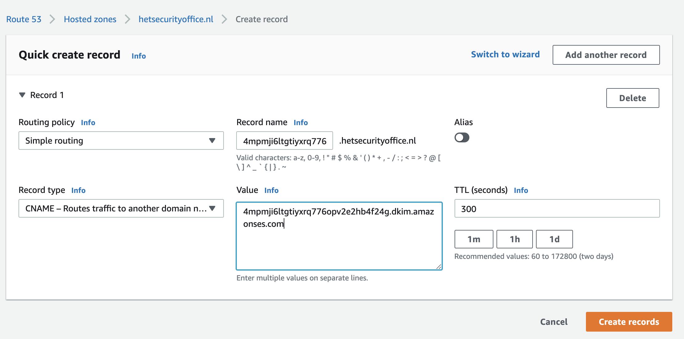 Adding the newly created domain records